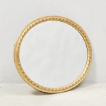 1687 3009 MIRROR